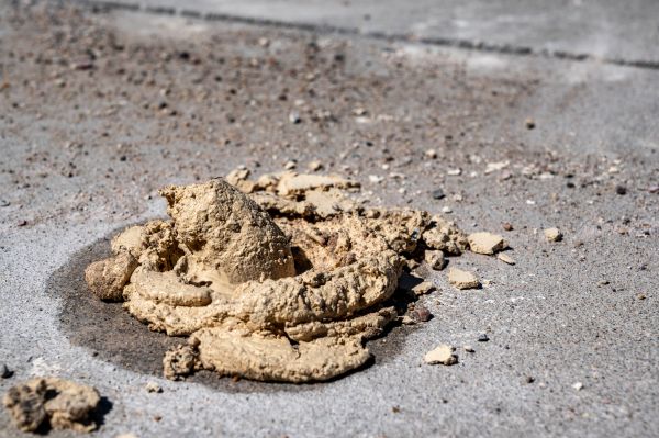 Cost of Driveway Slab Leveling in Kansas City