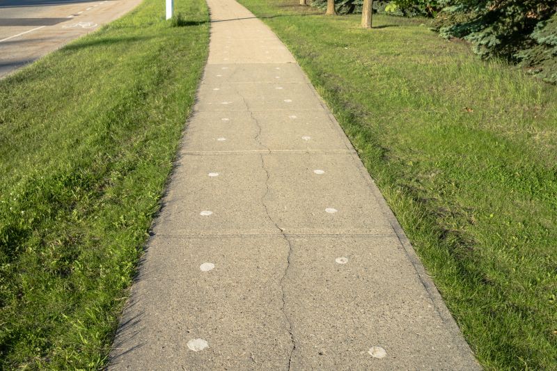 Sidewalk and Walkway Fixes